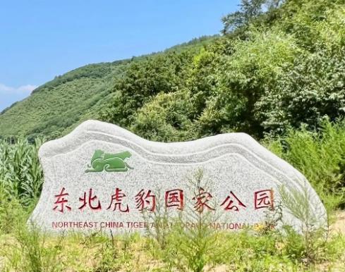 栖息环境不断优化 我国珍贵、濒危野生动物种群稳定增长