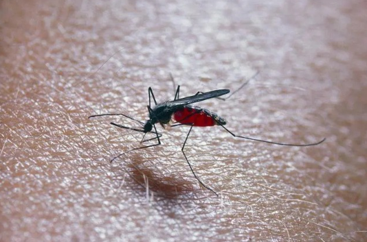 紧急！疫情或将卷土重来？