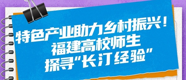 特色产业助力乡村振兴！福建高校师生探寻“长汀经验”
