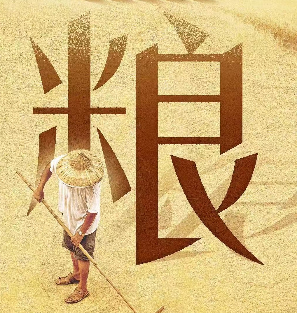 “齐鲁粮仓”满当当！75年来山东交出一份沉甸甸的“成绩单”