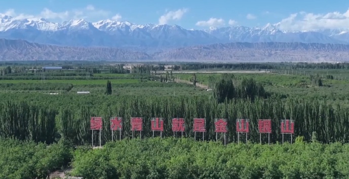 “两山”理念的新疆实践丨绿染沙海 绘就生态新画卷——塔克拉玛干沙漠边缘阻击战见闻