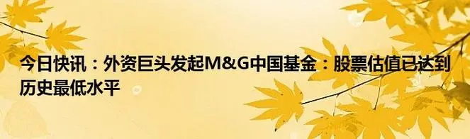 重磅！外资巨头发起M&G中国基金：股票估值已达到历史最低水平