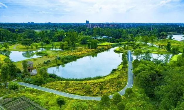 依托生态颜值提高经济价值