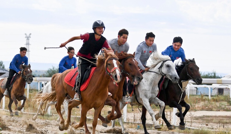 阿勒泰如何激活马产业“链式效应”