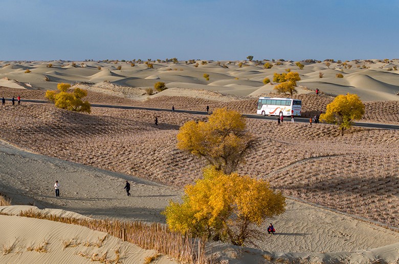 新疆和田：塔克拉玛干沙漠公路沿线秋景美