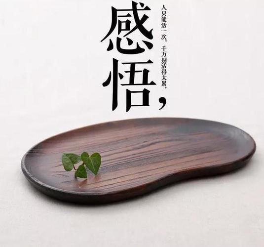 “祝愿这片土地拥有美好的未来”——一位法国“老朋友”的来华新感悟