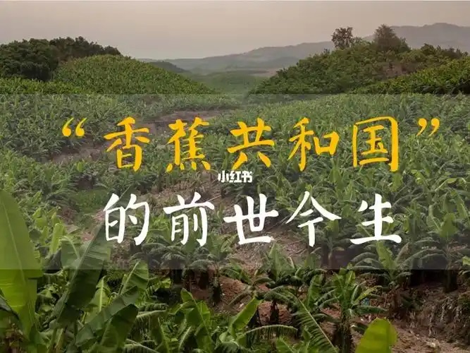 人民团结一致——“香蕉共和国”的突围