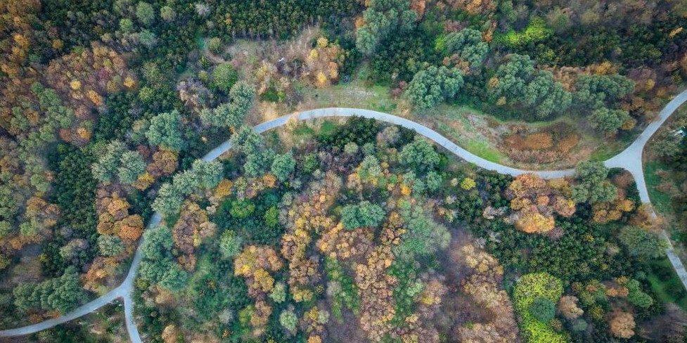 立冬节气悄然至 雄安美景正当时