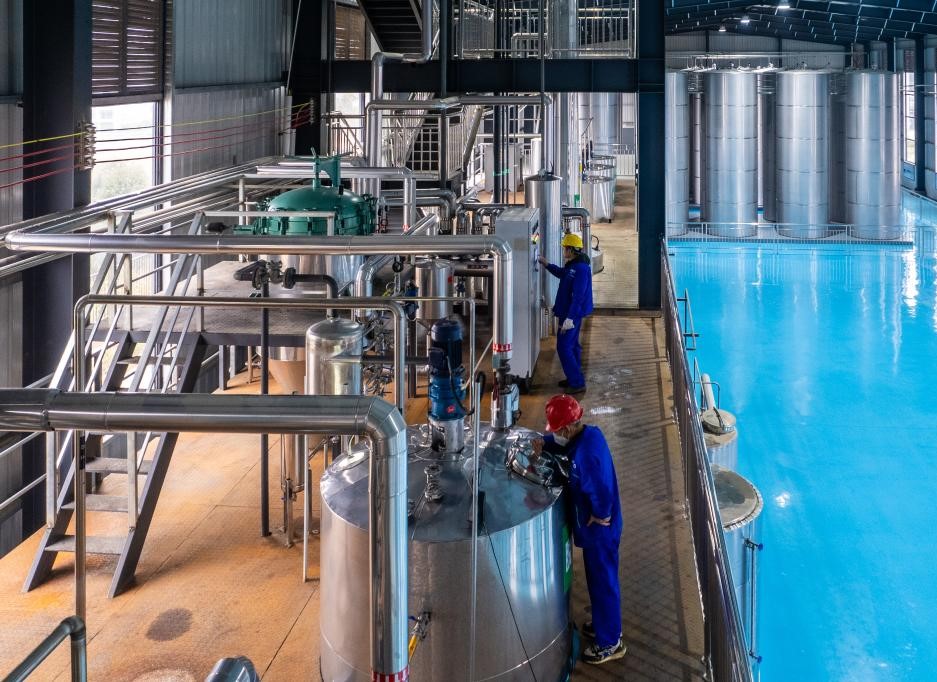 湖南祁阳：油茶飘香产业兴