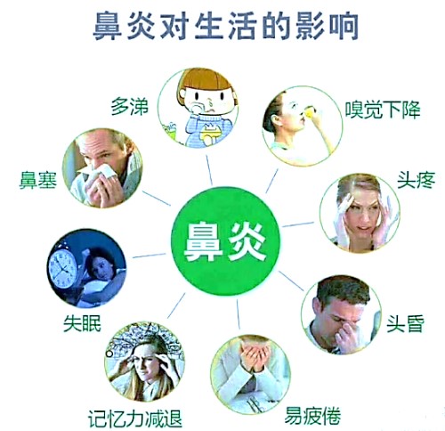 过敏性鼻炎，知多少？