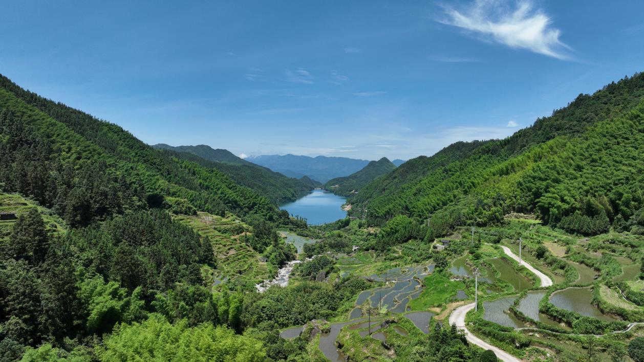 粤桂青年共绘“资源乡创”县域乡村振兴新路径