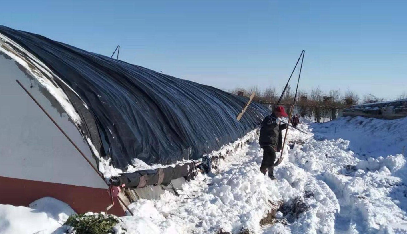 冬季蔬菜防灾减灾技术指导意见