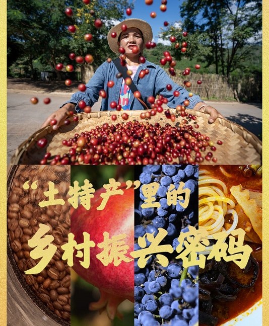 “土特产”里的乡村振兴密码