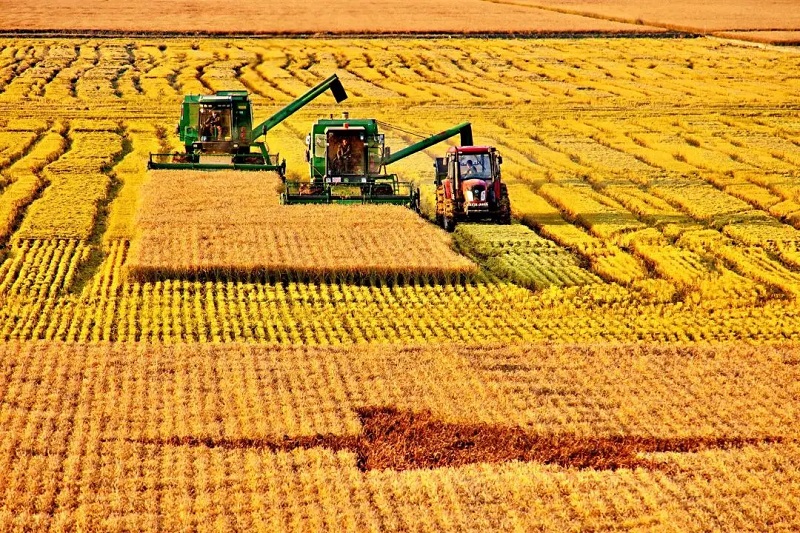 以良田筑牢粮仓