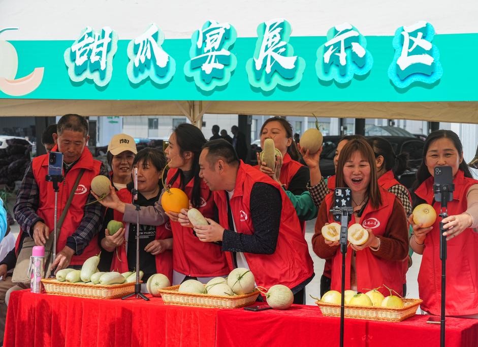 山东东平：甜瓜飘香助增收