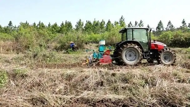 荒山复垦种大豆 稳粮扩面又增收