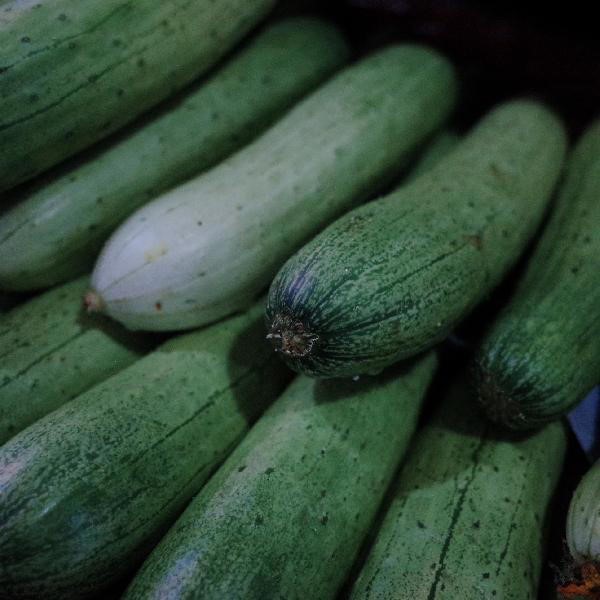 黄瓜是肠癌“催化剂”？医生：不想肠癌来的快，2物再爱也要忌口