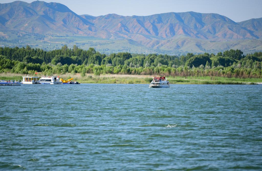 “塞外天池”岱海重现鱼儿游