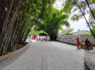 眉山丰收节农趣赛事热闹开场，农旅融合助力乡村振兴