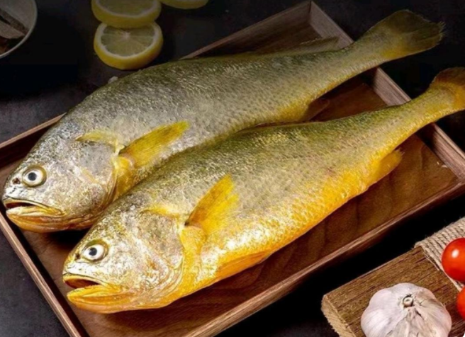 宁德大黄鱼占全国八成市场 科技育种成产业