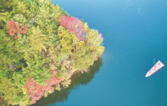 宣城跨省生态协作助推新安江—千岛湖从护水迈向共富