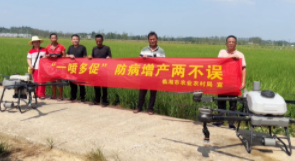 长沙开展“一喷多促”防灾作业，保障晚稻稳产丰收