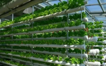 新规助力农业可持续发展，多项措施保障生产环境