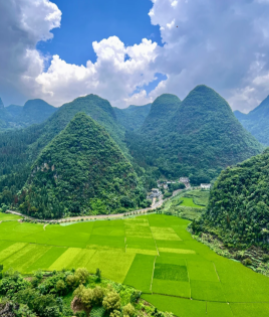 黔台经贸合作迎新机遇，优势互补共谋发展