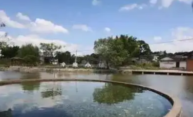 福建清流古宅变身热门打卡地，闲置农房焕发新生