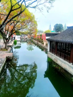 瓜灯照古今 浙江平湖以文化IP激活区域发展新动能