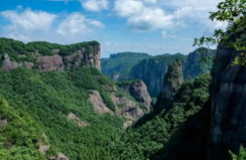 浙江数据知识产权登记量破2.4万张，AI专项指引助力“人工智能+”发展