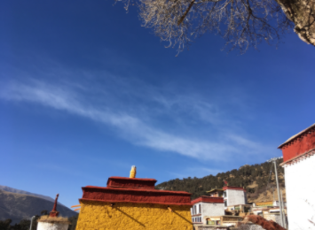 西藏青稞田边讲述农牧业变迁，生态与民生协同发展