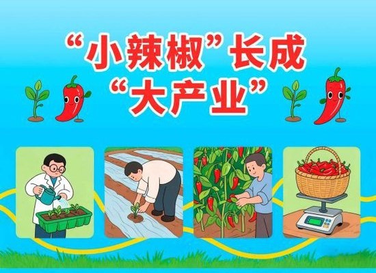 “小辣椒”长成“大产业”