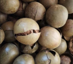 永福罗汉果飘香海外 特色产业助力乡村振兴