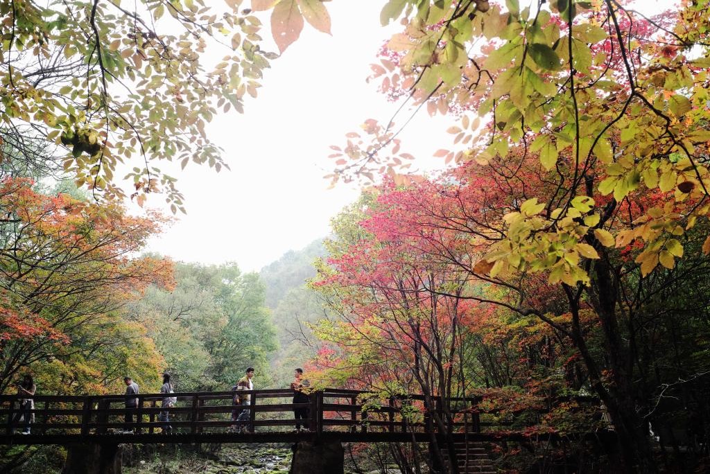 超23亿人次将踏上旅途！创意文旅点燃中国旅游市场
