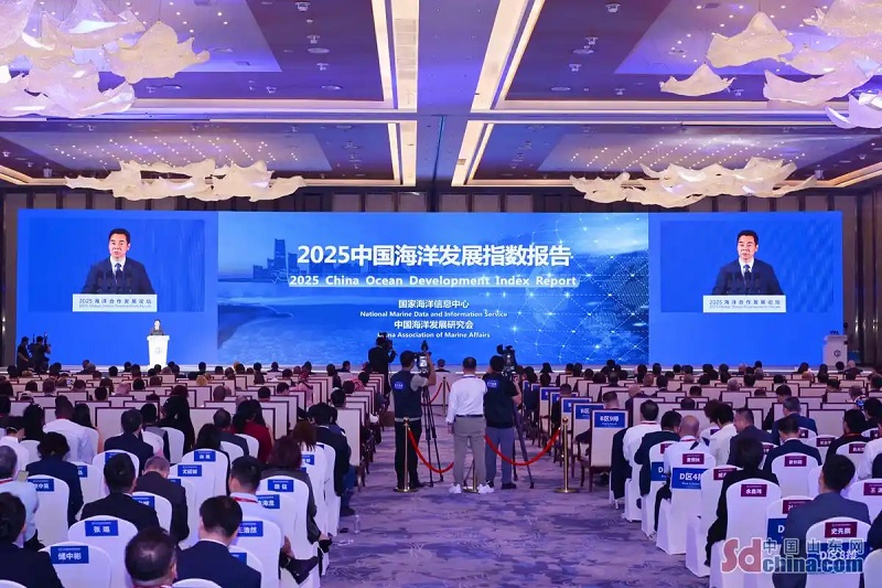 《2025 中国海洋发展指数报告》发布，海洋生态状况总体稳定