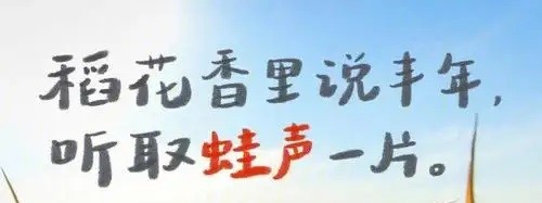 听见丰收丨稻花香里 蛙声一片