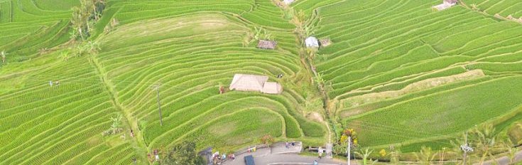 东莞出台农村土地经营权流转奖励细则