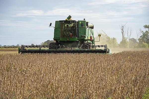 阿根廷提升高粱出口标准：就算得罪美国，也得卖给中国