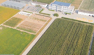 南皮县秋收见闻：智慧农机助力玉米归仓与绿色耕作