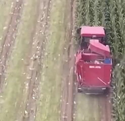 山西河津秋粮抢收见闻：烘干设备助农减损保归仓