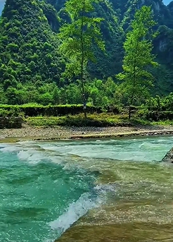 中国生态文明建设迈入新阶段：从污染防治到人与自然和谐共生