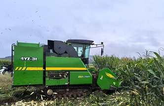 山东多措并举应对阴雨天气 科技助力秋粮抢收抢烘