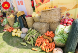 台湾农人携特色水果亮相福州丰收节