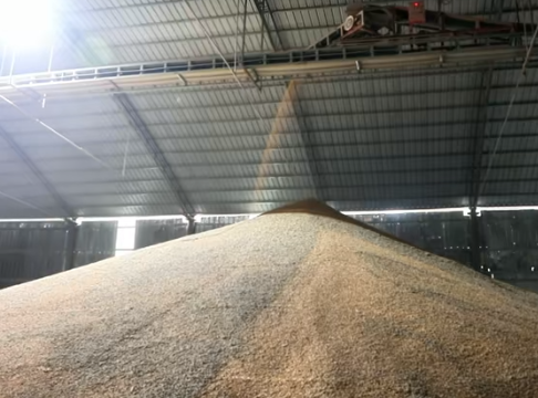 山西潞城多措并举抢收秋粮 应对阴雨天气守护粮食安全