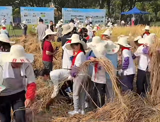 南昌九州公园举办秋收劳动实践 百名学生体验农耕文化