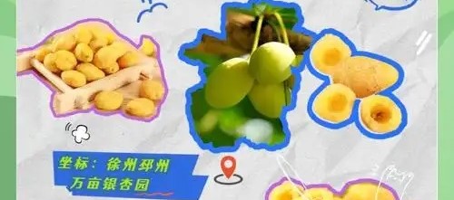 邳州银杏特产销量榜单出炉，多款产品热销