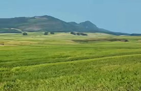 广西糖业瞄准810亿元产值 打造国际先进制糖基地