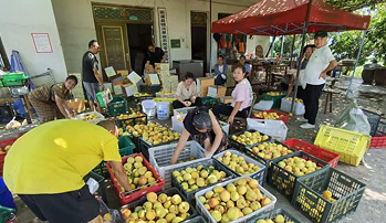 三位长沙青年的乡村数字试验：用代码与直播唤醒锦岩村