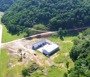 陕西特色产业带动农民增收 上半年休闲农业营收超37亿元